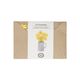 Kaart 3D met envelop, narcissen