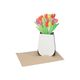 Kaart 3D met envelop, tulpen