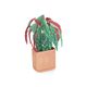 Kaart 3D met envelop, begonia