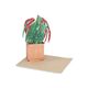Kaart 3D met envelop, begonia