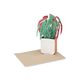 Kaart 3D met envelop, begonia