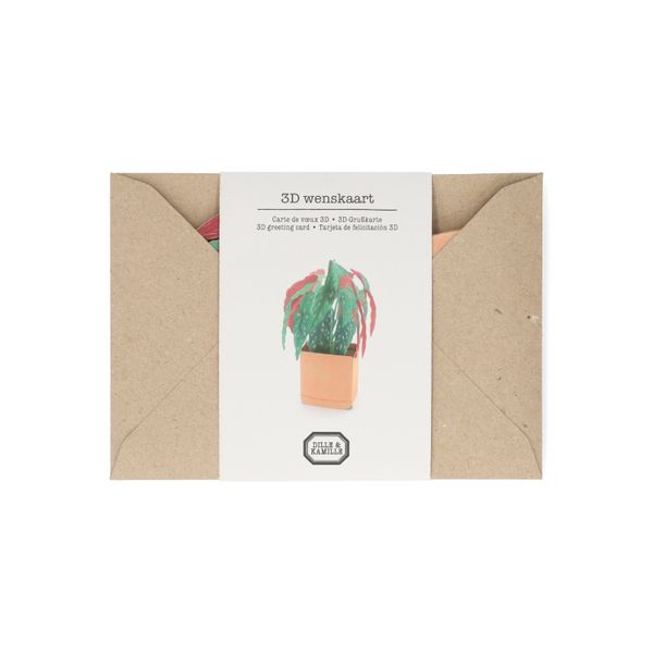 Kaart 3D met envelop, begonia