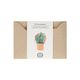Kaart 3D met envelop, begonia