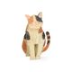 Kaart 3D met envelop, kat
