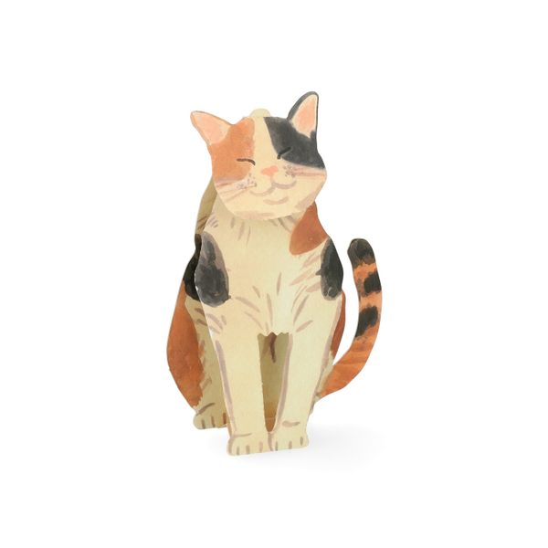 Kaart 3D met envelop, kat