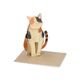 Kaart 3D met envelop, kat