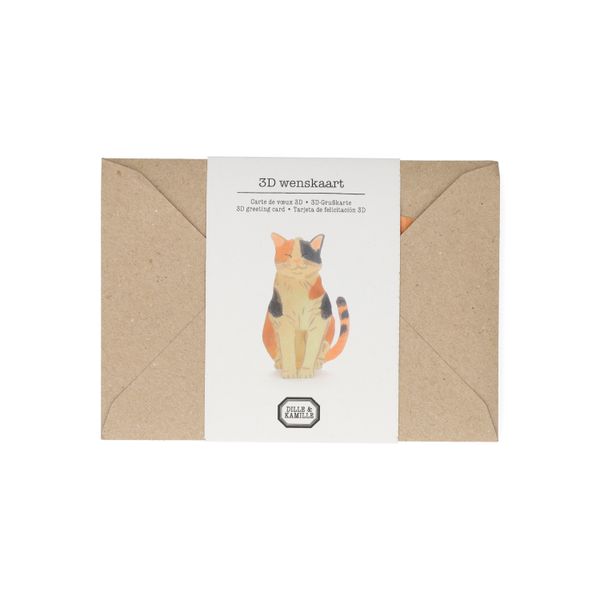 Kaart 3D met envelop, kat