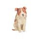 Kaart 3D met envelop, hond