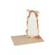 Kaart 3D met envelop, hond