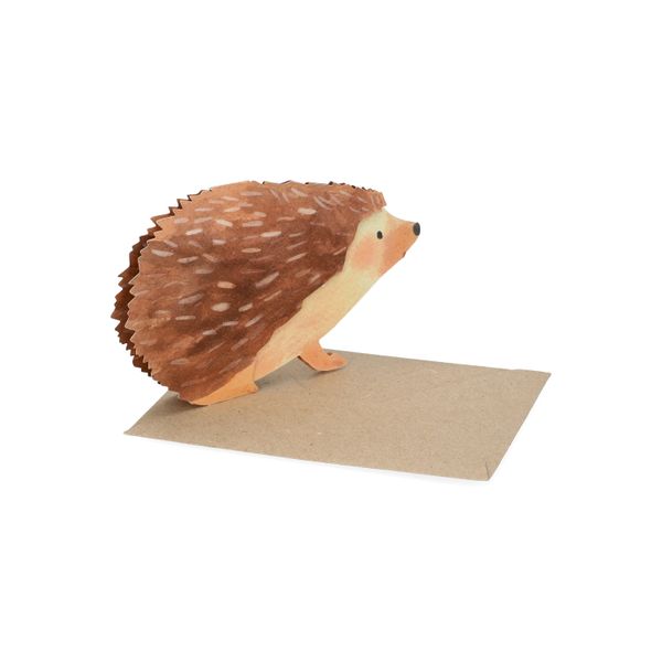 Kaart 3D met envelop, egel