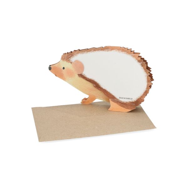 Kaart 3D met envelop, egel