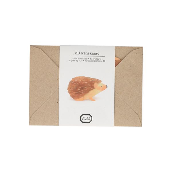 Kaart 3D met envelop, egel