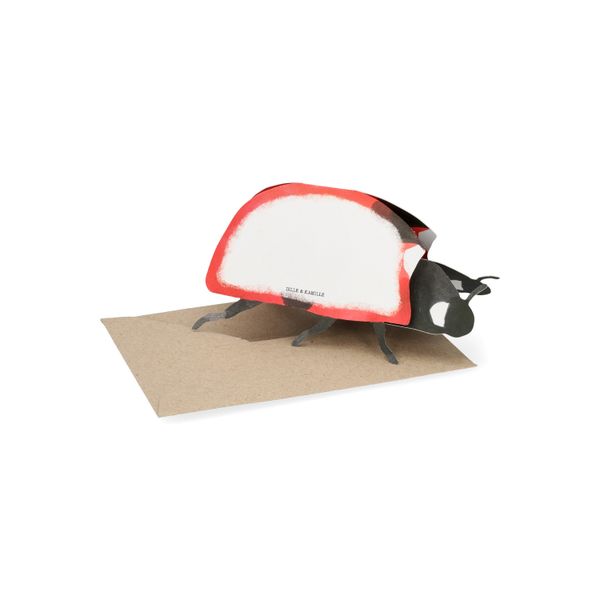 Kaart 3D met envelop, lieveheersbeestje