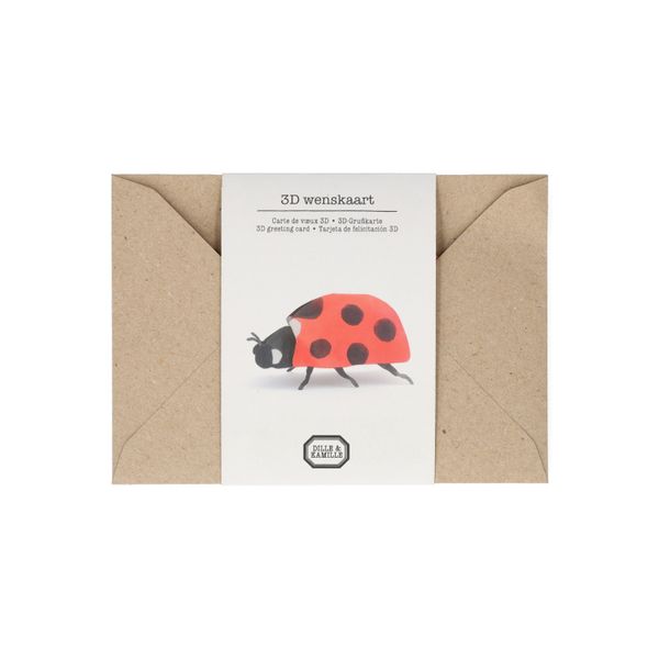 Kaart 3D met envelop, lieveheersbeestje