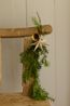 Mini-Weihnachtssterne, Papier, 3er-Set, Ø 12 cm