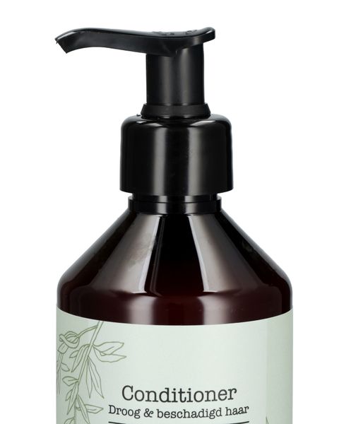 Après-shampooing, cheveux secs et abîmés, 300 ml