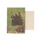 Kaart, World Animal Protection, beren