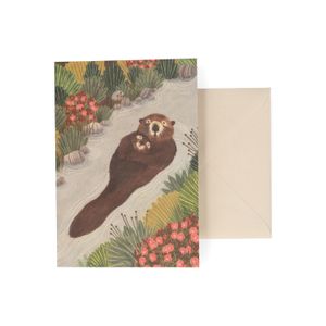 Carte, World Animal Protection, castors dans l'eau