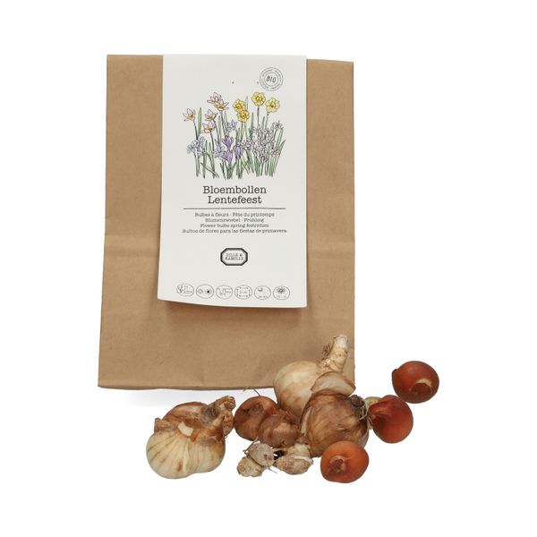 Flower bulb pack spring party, organic