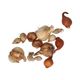 Flower bulb pack spring party, organic