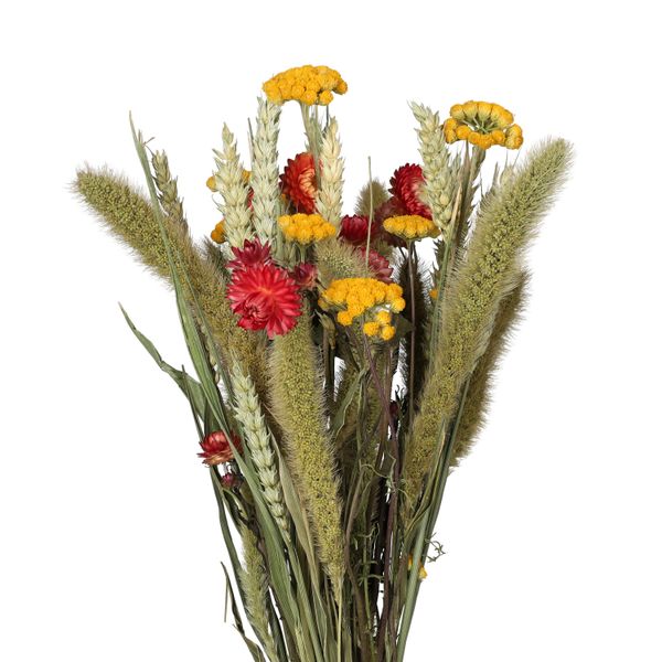 Droogbloemen, gemengd herfstboeket
