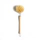 Dishwashing brush with handle, beech wood and vegetable fibres, 24 cm