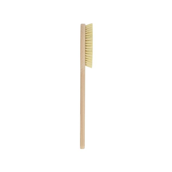 Brosse pour le bain et le sauna à poils durs