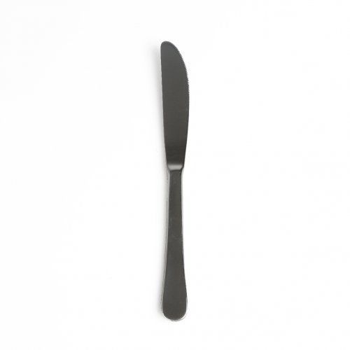 Couteau à dessert ou fruit, inox, 18 cm