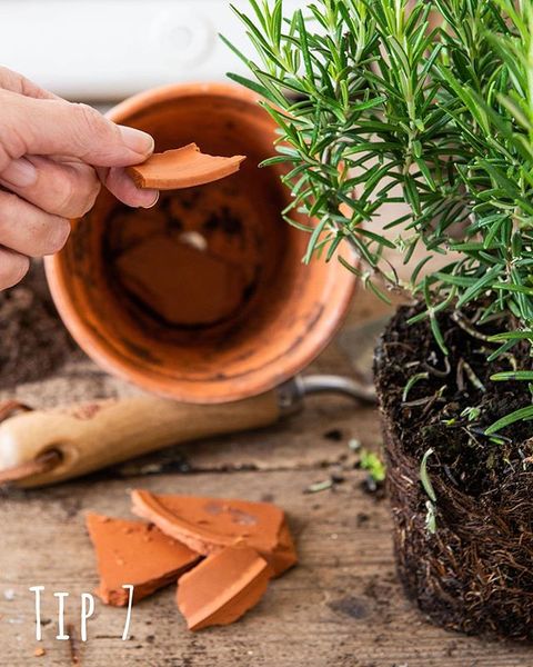 Flowerpot, red brick, ⌀ 23.5 cm   