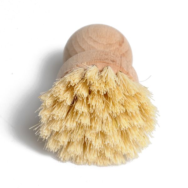Brosse à vaisselle sans manche, bois de hêtre et poils végétaux, ca. 8 cm.