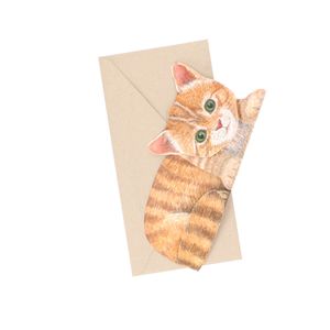 Carte 3d Et Enveloppe Chat Cartes Postales Chez Dille Kamille