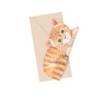 Carte 3D et enveloppe, chat