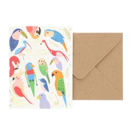 Carte D Anniversaire Enveloppe Oiseaux Tropicaux Carte D Anniversaire Enveloppe Oiseaux Tropicaux