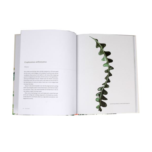 Groen geluk