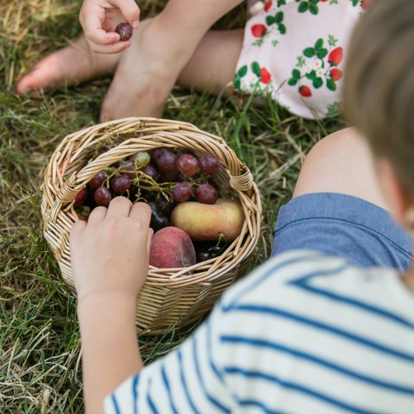 Panier avec anse, joncs de saule
