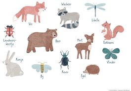 Poster Papier Bosdieren Nederlands 30 X 40 Cm Schoencadeautjes Bij Dille Kamille