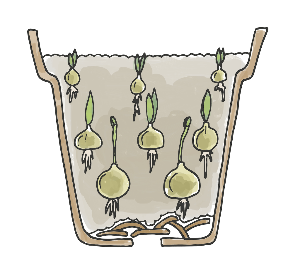 Moestuinkalender Moestuinkalender Dille & Kamille