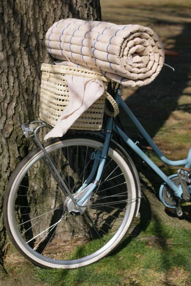 Die schönsten Picknick-Spots unserer Dille-Teams