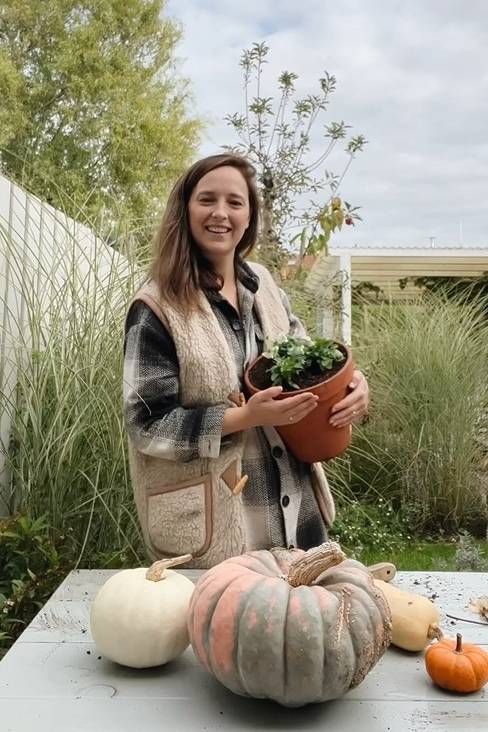 Moestuinkalender Moestuinkalender Dille & Kamille