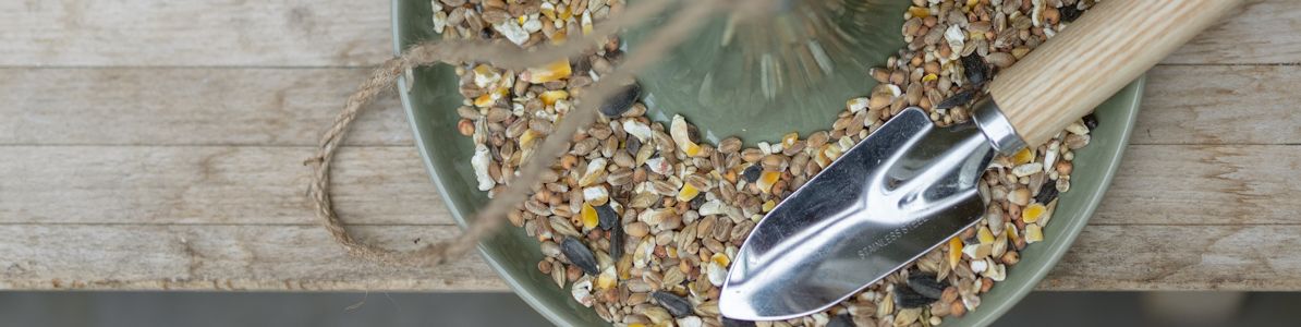 Alimentar a los pájaros Alimentar a los pájaros