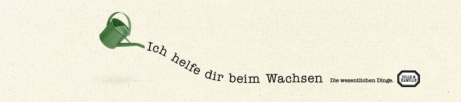 Gartenarbeit - Dille & Kamille