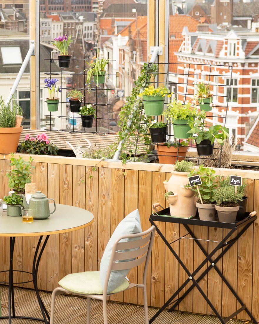 Een groene oase – ook op een paar m2 Een groene oase – ook op een paar m2