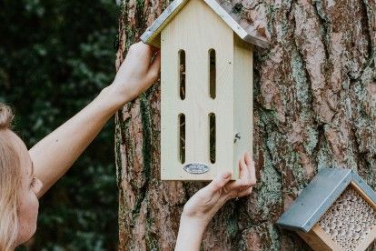 Tips om de biodiversiteit in je tuin te vergroten