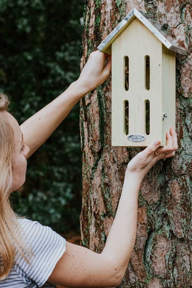 Tips om de biodiversiteit in je tuin te vergroten