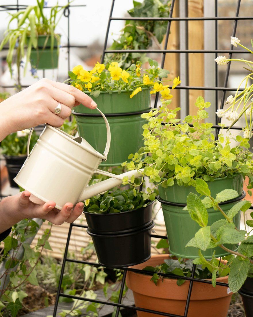 Tuinieren in potten Tuinieren in potten