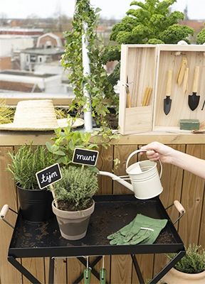 Bloempotten | Dille & Kamille Bloempotten | Dille & Kamille