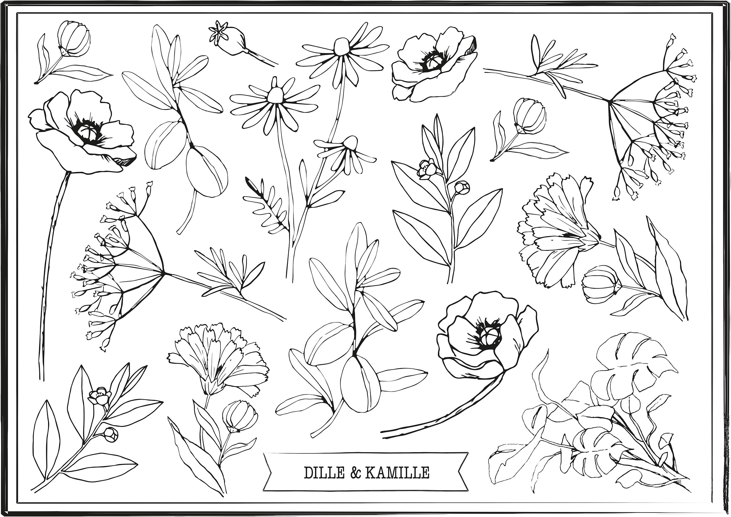 kleurplaat bloemen kleurplaat bloemen