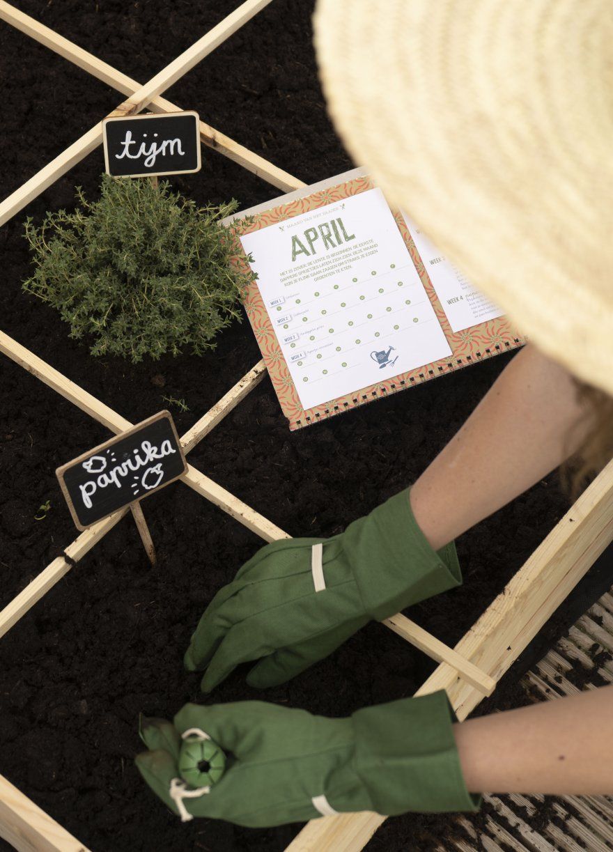 Moestuin | Dille & Kamille Moestuin | Dille & Kamille